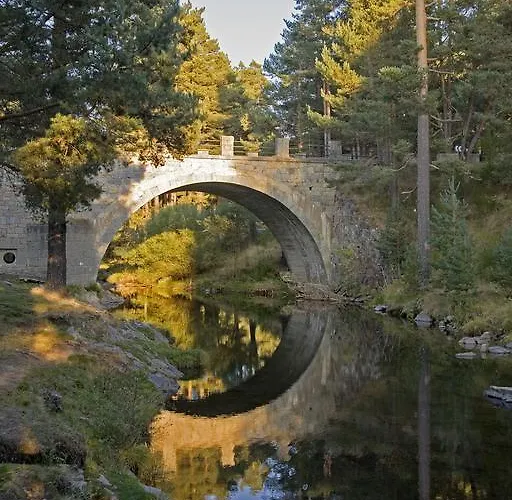 El Milano Real Hoyos del Espino