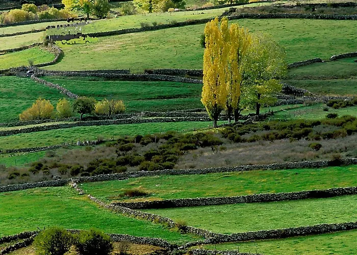 El Milano Real Hotel Hoyos del Espino